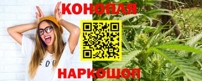прущие крисы Ставрополь