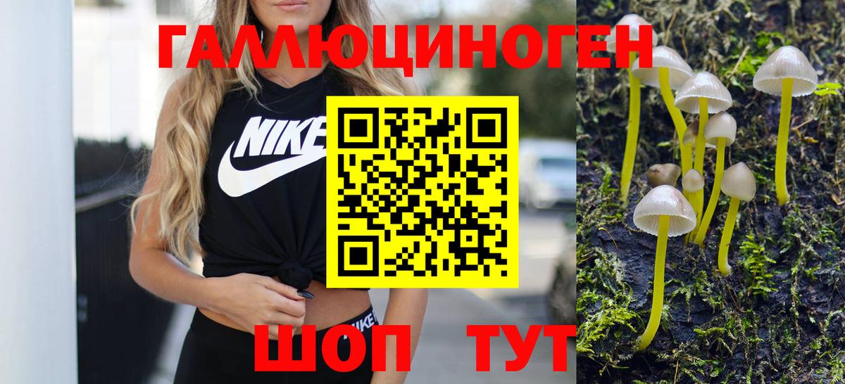 Псилоцибиновые грибы MAGIC MUSHROOMS  Вход с VPN  Костомукша 